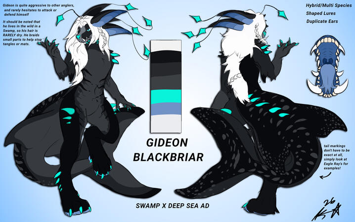 FINISHED REF; 60$ OPTION