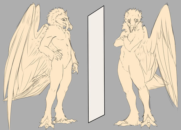 SKETCH REF; 40$ OPTION